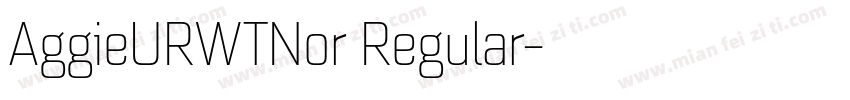 AggieURWTNor Regular字体转换